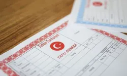 Gayrimenkul alacaklar dikkat: Tapunun rengi, hayallerinizi kabusa çevirmesin!