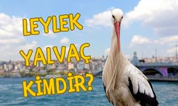 Leylek Yalvaç: Babasının İzinde Gökyüzünde Bir Yolculuk