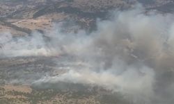 Manisa'da orman yangınına müdahale ediliyor