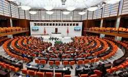 Türk Lirası'nı koruma kalkanı: Döviz ve kıymetli madene sıkı denetim