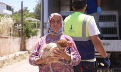 İzmir’deki yangından kurtarılan tavuklarına kavuştu