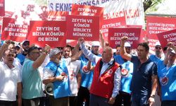 İşçiler zeytin ağaçları için TBMM önünde toplandı