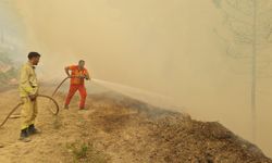 Karabük’teki orman yangınları 5’inci günde