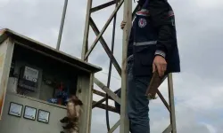 Akıma kapılarak can verdi!