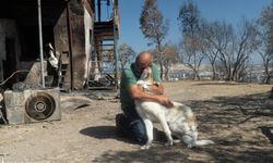 Kaptan yeniden doğdu: İzmirli köpeğe sıcak yuva!