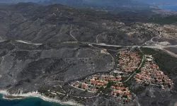 İzmir'de çıkan yangınlar sonrası yürek burkan kareler!