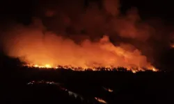 Tekirdağ ormanları alevlere teslim: Yangın Çanakkale'ye sıçradı, müdahale sürüyor!