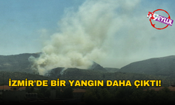 İzmir'de bir yangın daha çıktı!