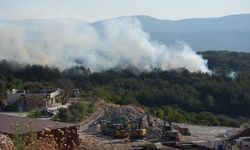 Urla'daki yangın kontrol altına alındı