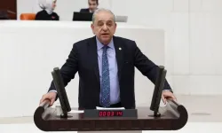 İzmir’de orman yangınlarının ardındaki gerçek!