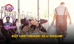 Süt üretiminde ‘ölü doğum’