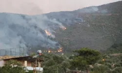 Hatay'da orman yangını ikinci gününde: Alevler üç mahalleye sıçradı!