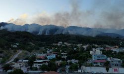 Hatay'daki yangına müdahale sürüyor: 9 yayla tahliye edildi!