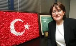 Türkiye'nin Demir Leydisi Meral Akşener 69 yaşında...
