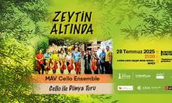 Zeytin Altında konserleri MAV Cello Ensemble ile başlıyor