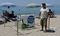 Kuşadası’nda yılın ilk caretta caretta yuvası tespit edildi