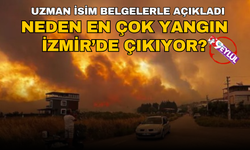 İzmir'de neden bu kadar çok yangın çıkıyor?