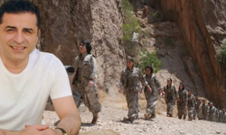 Selahattin Demirtaş'tan 'silah bırakma' açıklaması