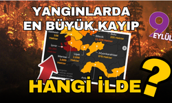 Orman yangınlarında en büyük kayıp İzmir’de: 20 bin hektar yok oldu