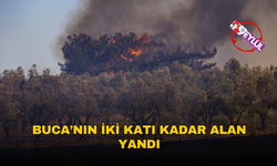 İzmir’de bir ayda 26 bin 260 hektar alan yandı