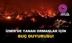 İzmir'in yanan ormanları için sendikadan suç duyurusu: 'Sorumlu elektrik şirketleri, bu yıkım cezasız kalmamalı!'