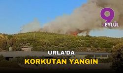 İzmir Urla alevlere teslim: Kuşçular'daki orman yangını rüzgarla büyüdü, havadan ve karadan seferberlik başlatıldı!