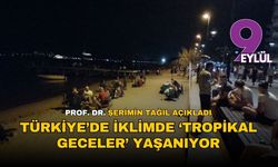 Türkiye "tropikal geceler" ve "ısı stresi"nin etkisi altında