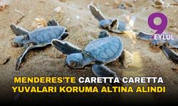Menderes’te caretta caretta yuvaları koruma altına alındı