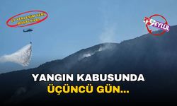 İzmir'de yangın kabusu 3'üncü gününde: 29 yerleşim yeri boşaltıldı