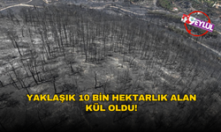 Son üç günde çıkan yangınlar yaklaşık 10 bin hektarlık alanı küle çevirdi!