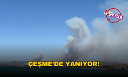 Yangın kabusu Çeşme'ye sıçradı!