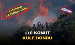 İzmir'de alevlerin faturası ağır: Bakan Yerlikaya açıkladı, 110 konut küle döndü!