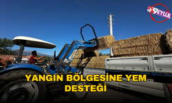 Büyükşehir'den yangın bölgesine yem desteği
