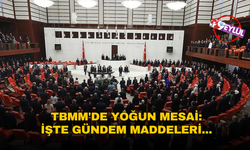 TBMM'de yoğun mesai: İşte gündem maddeleri...