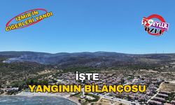 İzmir'in ciğerleri yandı: İşte yangının bilançosu