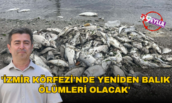 'İzmir Körfezi'nde yeniden balık ölümleri olacak'