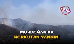 Karaburun Mordoğan'da korkutan yangın!