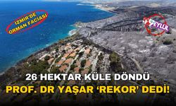 İzmir'de orman faciası: 26 bin hektarlık yeşil alan küle döndü, uzman 'rekor kırıldı' dedi!