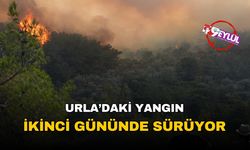 İzmir Urla'daki yangın ikinci gününde devam ediyor!
