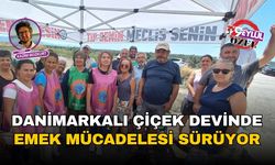 İzmir Dikili'de Danimarkalı çiçek devinde emek mücadelesi sürüyor