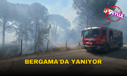 Bergama’da orman yangınına müdahale ediliyor