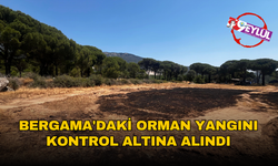 Bergama'daki orman yangını kontrol altına alındı