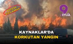 Buca'da kara gün: İzmir'in akciğerleri Kaynaklar'da korkutan yangın