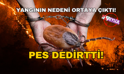 Yangın nedeni, "Yok artık" dedirtti