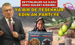 Zeytinliklerle ilgili gelen o soruya çok kızdı! "Şu AK Parti'ye bir teşekkür edin ya!"