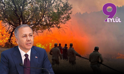 Bakan Yerlikaya duyurdu: Orman yangınlarında 23 gözaltı, 4 tutuklama!