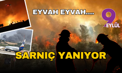 Sarnıç'ta korkutan yangın: Hızla yayılıyor