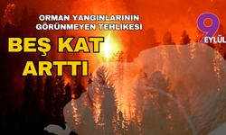 Orman yangınlarının görünmeyen tehlikesi