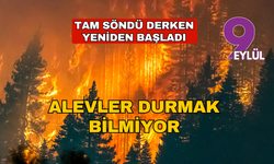 Alevler durmak bilmiyor!