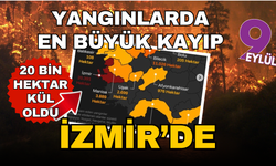 Orman yangınlarında en büyük kayıp İzmir’de: 20 bin hektar yok oldu